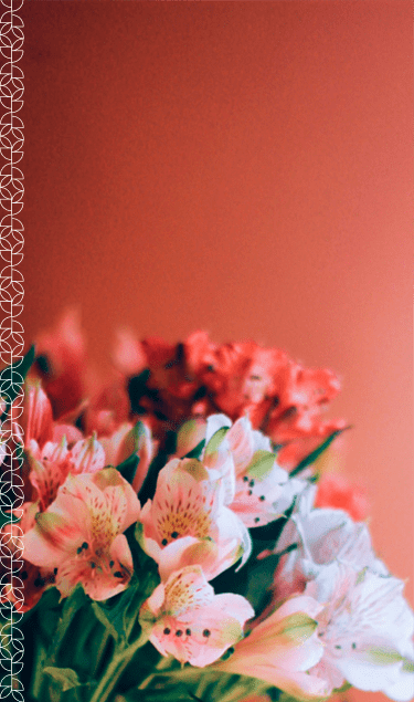Imagem de fundo 2 da home mobile